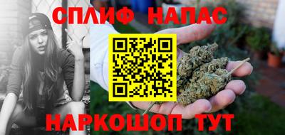 стаф Камень-на-Оби