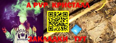 стаф Камень-на-Оби