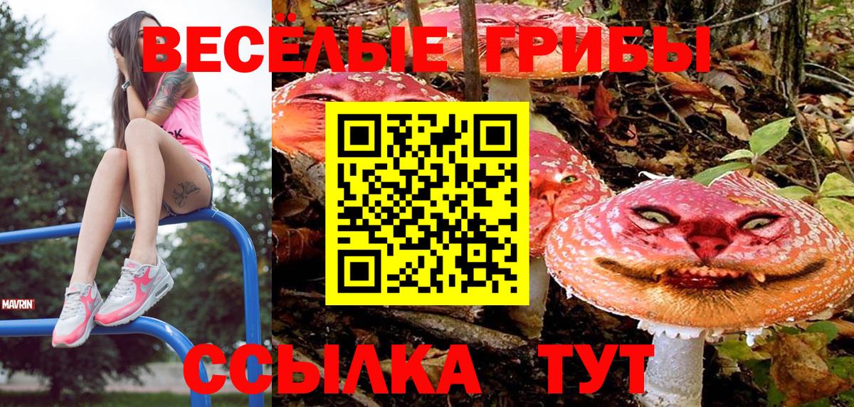 Псилоцибиновые грибы MAGIC MUSHROOMS  Вход с VPN  купить закладку  Ессентуки 