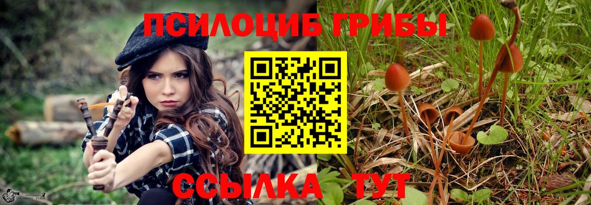 Галлюциногенные грибы мухоморы Ессентуки